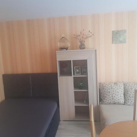Danes Apartment By The River Κλαϊπέντα Εξωτερικό φωτογραφία